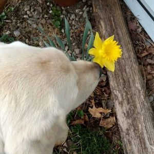 Meet your Posher, Laurie